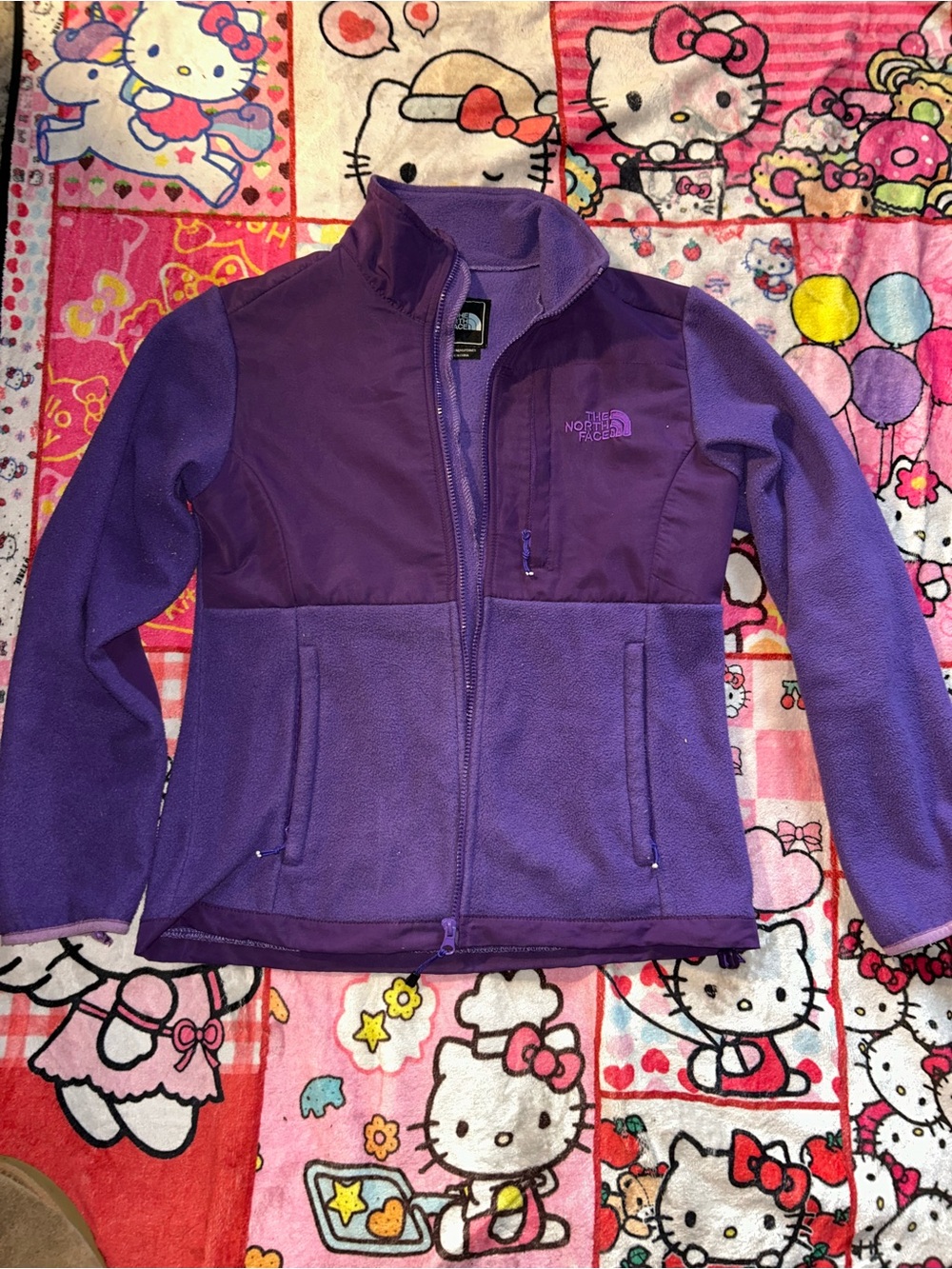 The North Face Two-Tone Purple Fleece Jacket